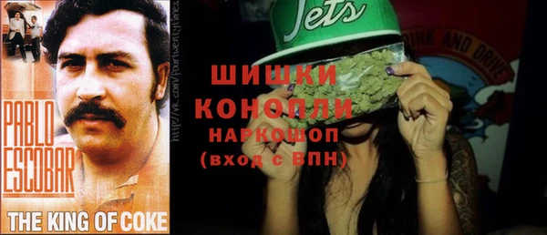 ПСИЛОЦИБИНОВЫЕ ГРИБЫ Арсеньев