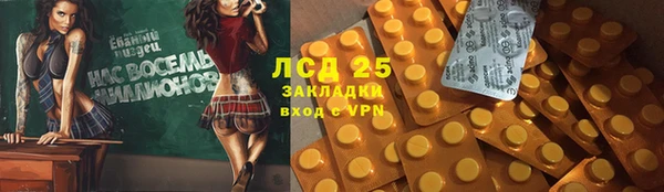 ПСИЛОЦИБИНОВЫЕ ГРИБЫ Арсеньев