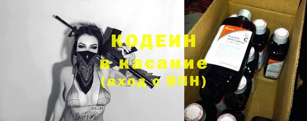 ПСИЛОЦИБИНОВЫЕ ГРИБЫ Арсеньев