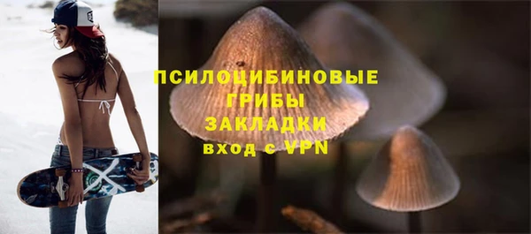 ALPHA-PVP Армянск