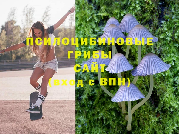прущие грибы Алексеевка