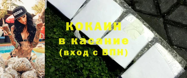 PSILOCYBIN Елабуга