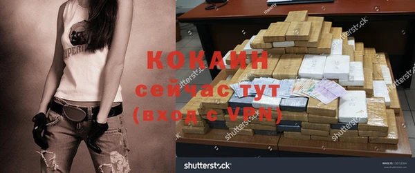 прущие грибы Алексеевка