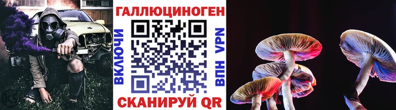 blacksprut ONION  Бугуруслан  Галлюциногенные грибы Psilocybine cubensis 